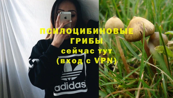 каннабис Нефтекумск