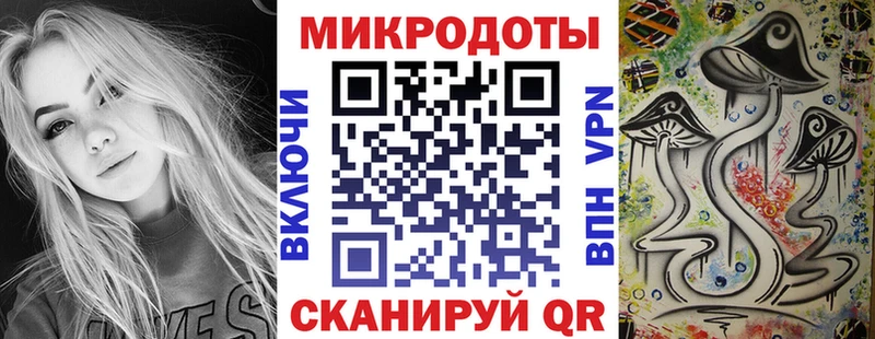Псилоцибиновые грибы Psilocybe  Новое Девяткино 